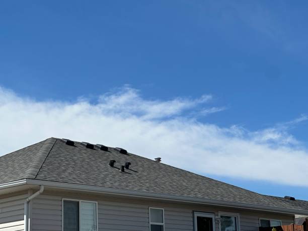 Fast & Reliable Emergency Roof Repairs in Aiea, HI